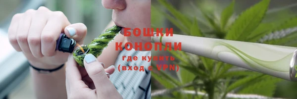 марки lsd Гусиноозёрск