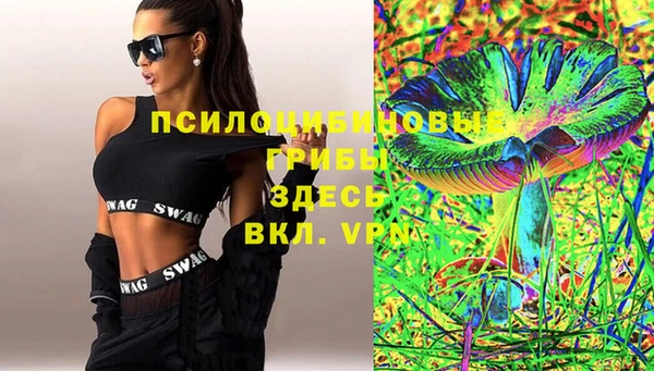 марки lsd Гусиноозёрск