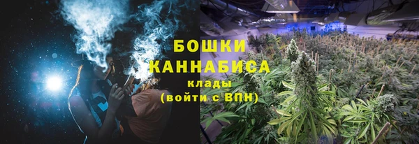 марки lsd Гусиноозёрск