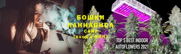 марки lsd Гусиноозёрск