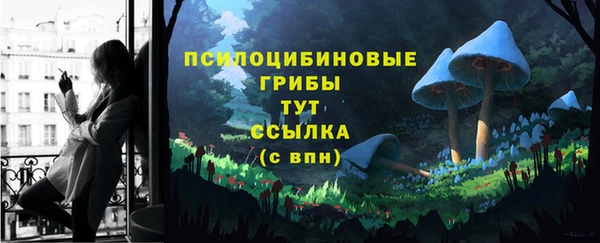меф Гусь-Хрустальный